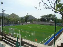 Grama Sintética - Papigaso